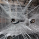 Illustration for article titled Just Chillin' In My Gigantic Packing Tape Spider Web